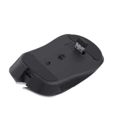 MOUSE USB OPTICAL WRL YBAR/GTX923W 24889 TRUST