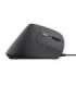 MOUSE USB OPTICAL BAYO II/ERGONOMIC BLACK 25144 TRUST