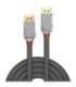 CABLE DISPLAY PORT 5M/CROMO 36304 LINDY