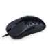 MOUSE USB OPTICAL LIV/EY6A020 ENDORFY