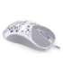 MOUSE USB OPTICAL LIV OWH/WHITE EY6A021 ENDORFY