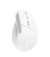 MOUSE USB OPTICAL WRL BAYO II/ERGO WHT 25398 TRUST