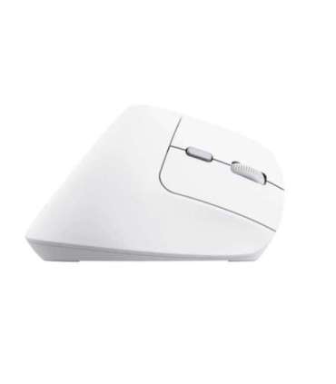 MOUSE USB OPTICAL WRL BAYO II/ERGO WHT 25398 TRUST