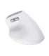 MOUSE USB OPTICAL WRL BAYO II/ERGO WHT 25398 TRUST
