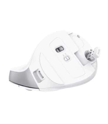 MOUSE USB OPTICAL WRL BAYO II/ERGO WHT 25398 TRUST