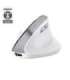 MOUSE USB OPTICAL WRL BAYO II/ERGO WHT 25398 TRUST