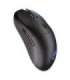 MOUSE USB OPTICAL WRL GEM PLUS/BLACK EY6A013 ENDORFY