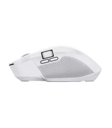 MOUSE USB OPTICAL WRL OZAA+/MULTI-CONNECT WHT 24935 TRUST