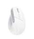 MOUSE USB OPTICAL WRL BAYO+/ERGONOMIC WHT 25399 TRUST