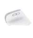 MOUSE USB OPTICAL WRL BAYO+/ERGONOMIC WHT 25399 TRUST