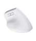 MOUSE USB OPTICAL WRL BAYO+/ERGONOMIC WHT 25399 TRUST