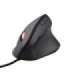 MOUSE USB OPTICAL GXT 144 REXX/22991 TRUST