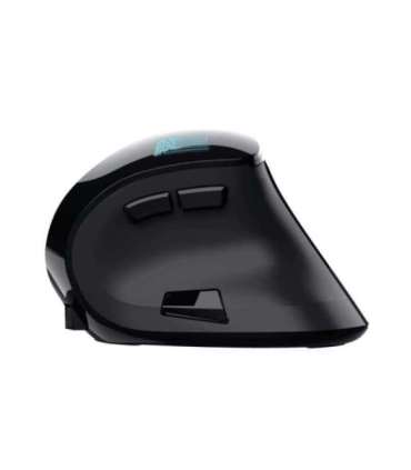 MOUSE USB OPTICAL ERGONOMIC/VOXX 23731 TRUST