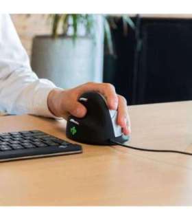 MOUSE USB OPTICAL BREAK/L. BLACK RGOHELELA R-GO TOOLS