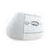 MOUSE USB OPTICAL MAC VERTICAL/WHITE 910-006477 LOGITECH