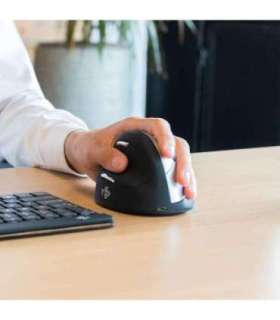 MOUSE USB OPTICAL WRL/L. BLK RGOHELELAWL R-GO TOOLS