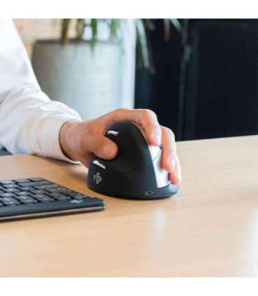 MOUSE USB OPTICAL WRL/L. BLK RGOHELELAWL R-GO TOOLS