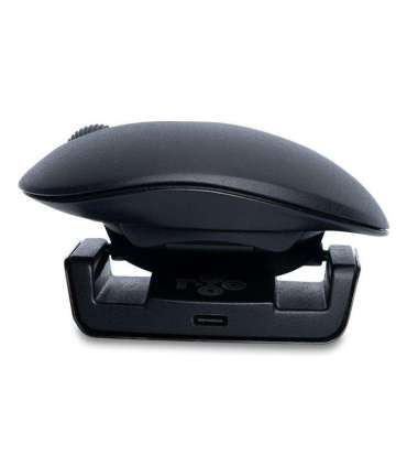 MOUSE USB OPTICAL WRL TWISTER/BLACK RGOTWBMWLBL R-GO TOOLS