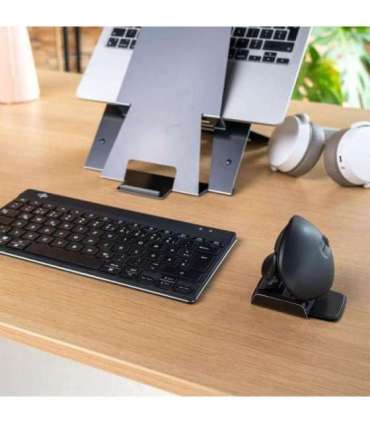 MOUSE USB OPTICAL WRL TWISTER/BLACK RGOTWBMWLBL R-GO TOOLS