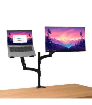 MONITOR ACC ARM DUAL/MARA 25337 TRUST