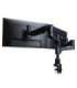 MONITOR ACC ARM CAPARO DUAL/RGOVLCA4TWSI R-GO TOOLS