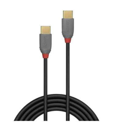 CABLE USB2 TYPE C 1M/ANTHRA 36871 LINDY