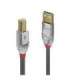 CABLE USB2 A-B 3M/CROMO 36643 LINDY