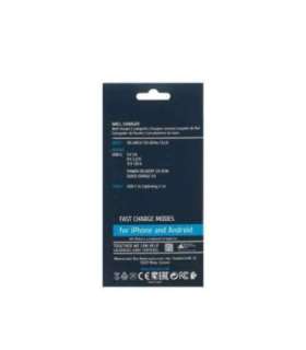 MOBILE CHARGER WALL/WHITE PS4101 WD5 RIVACASE