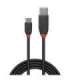 CABLE USB3.2 A-C 1.5M/BLACK 36917 LINDY