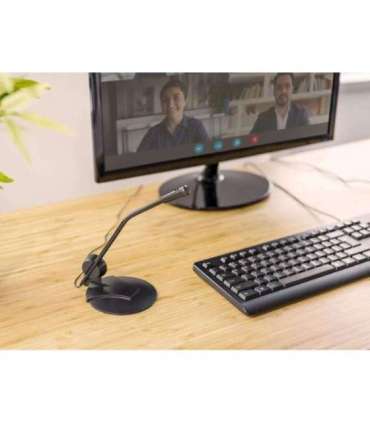 MICROPHONE PRIMO DESK/21674 TRUST