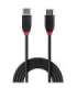 CABLE USB2 EXTENSION 5M/42817 LINDY