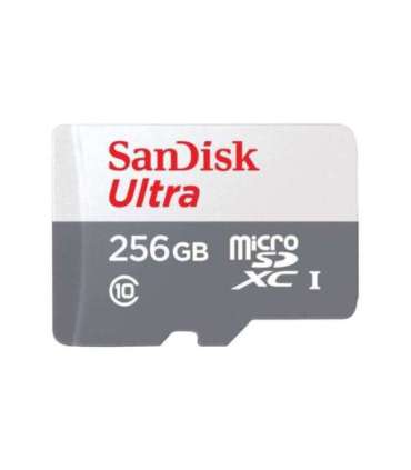 MEMORY MICRO SDXC 256GB UHS-I/SDSQUNR-256G-GN3MN SANDISK