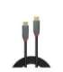 CABLE USB3.2 C-C 1M/ANTHRA 36901 LINDY