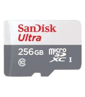 MEMORY MICRO SDXC 256GB UHS-I/SDSQUNR-256G-GN6TA SANDISK