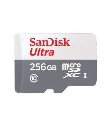 MEMORY MICRO SDXC 256GB UHS-I/SDSQUNR-256G-GN6TA SANDISK