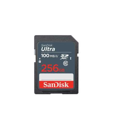MEMORY SDXC 256GB UHS-I/SDSDUNR-256G-GN3IN SANDISK