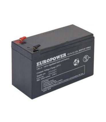 BATTERY 12V 9AH VRLA/EV9-12 T2 EUROPOWER EMU