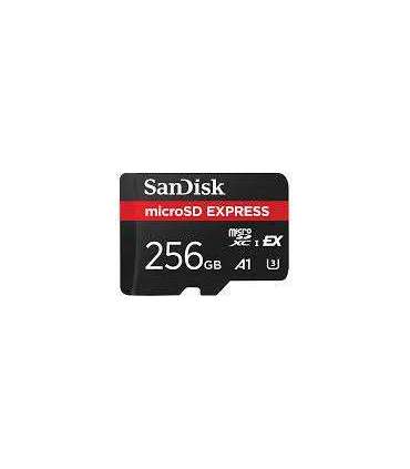 MEMORY MICRO SDXC 256GB UHS-I/SDSQXFN-256G-GN4NN SANDISK