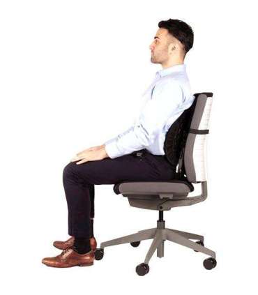 CHAIR BACK SUPPORT/BACK ANGEL 8026401 FELLOWES