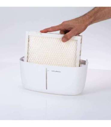 HUMIDIFIER EVAPORATIVE ALAZE/PRO COP001276 STYLIES