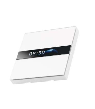 SMART HOME DISPLAY SWITCH V1/WS-K02D AQARA