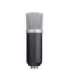 MICROPHONE GXT 252 EMITA/21753 TRUST
