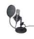 MICROPHONE GXT 252 EMITA/21753 TRUST