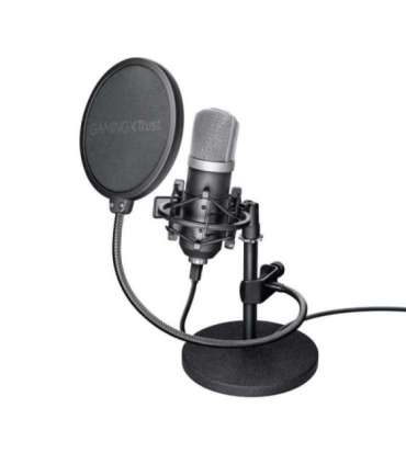 MICROPHONE GXT 252 EMITA/21753 TRUST