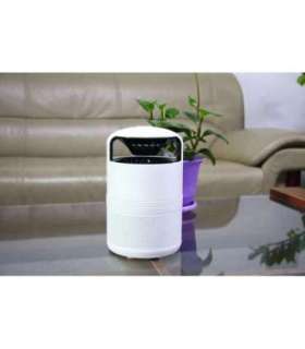 MOSQUITO TRAP PICTORIS/COP001121 STYLIES