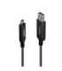 CABLE USB3.2 TYPE A TO C 25M/43396 LINDY