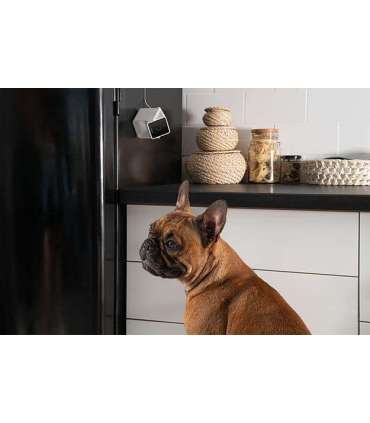 WRL CAMERA HD/CC10US PETCUBE