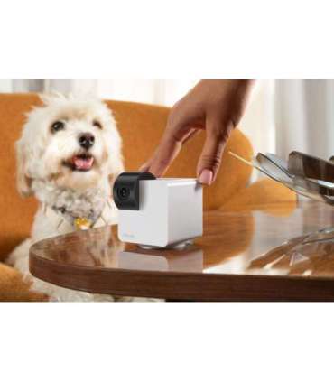 WRL CAMERA CAM 360/P36010US PETCUBE