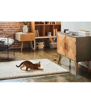 WRL CAMERA PLAY 2/PP20US PETCUBE