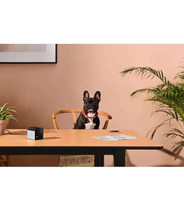 WRL CAMERA PLAY 2/PP20US PETCUBE